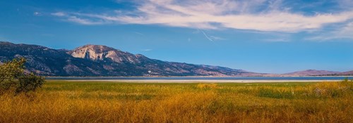 Manpower TRT-services